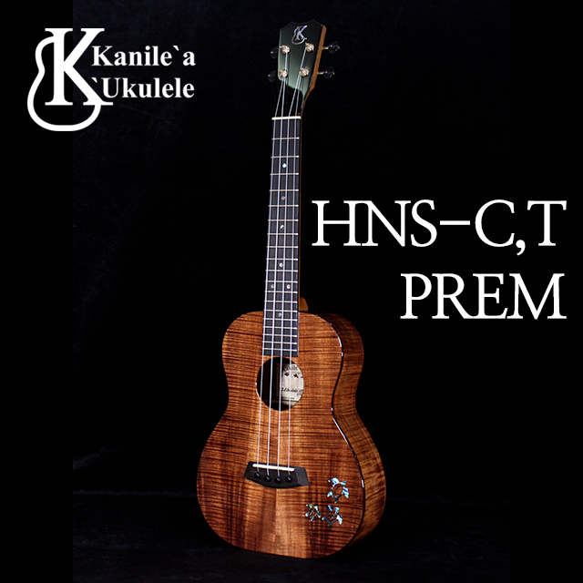 (예약)HNS-C, T PREMIUM 콘서트/테너