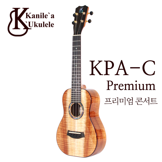 KPA-C premiem 프리미엄 콘서트