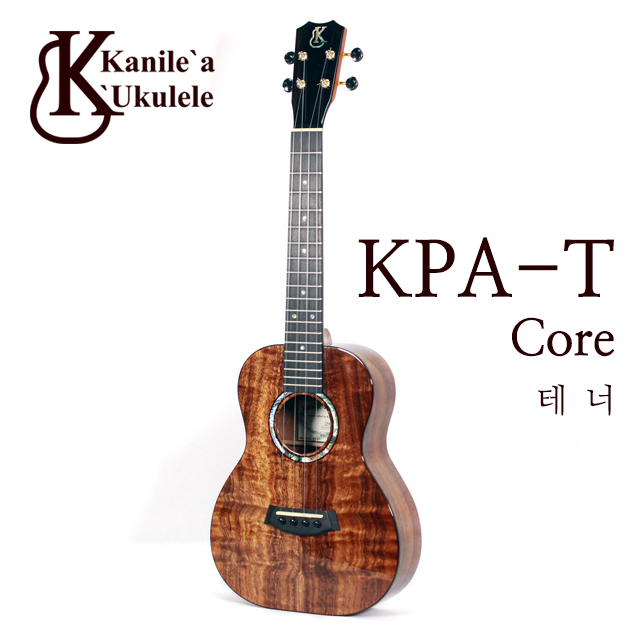 (예약문의)KPA-T Core